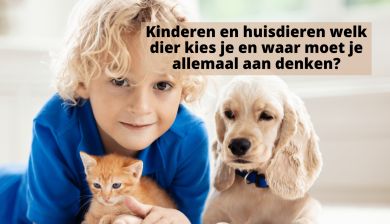 kindendier artikel