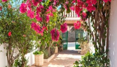 algarve artikel