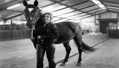 paardenrace artikel