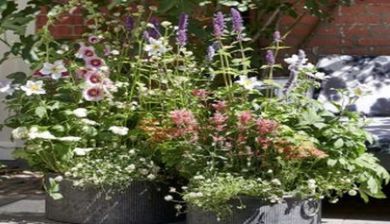 bloemenbij artikel