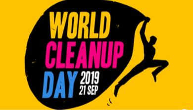cleanup artikel