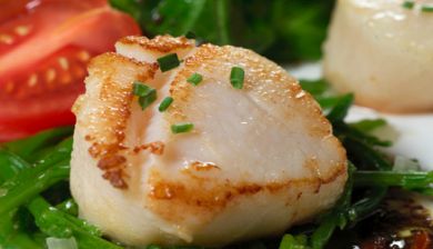 coquilles