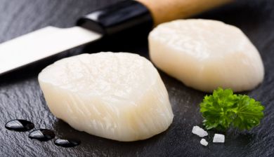 carpacciocoquilles artikel