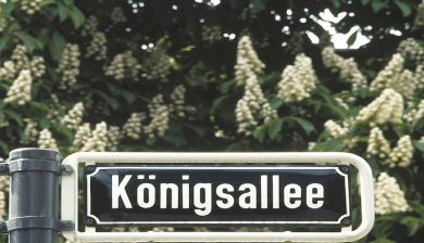 dusseldorf artikel