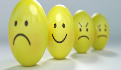 emoties artikel