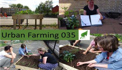 moestuin artikel