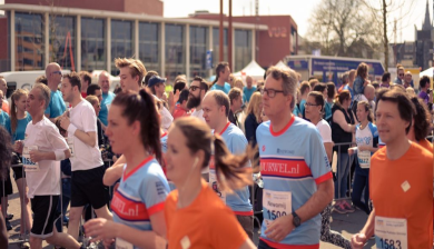 Hilversum artikel