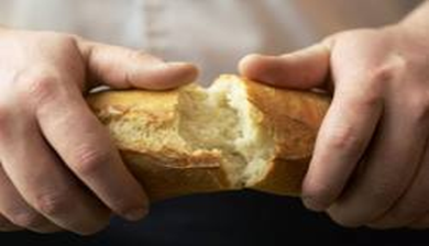 broodbakken artikel