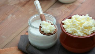 kefir artikel