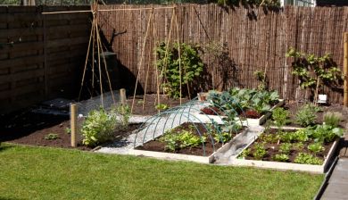 moestuinieren artikel