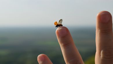 nagels artikel