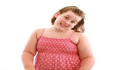 obese artikel