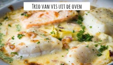 visoven artikel
