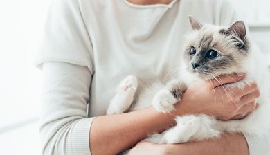 katmetvakantie artikel
