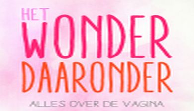 wonder artikel