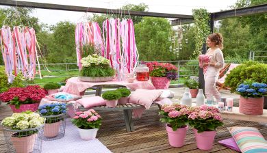 balkon1