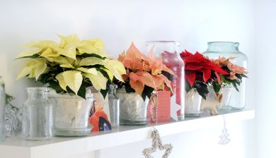 kerstster1