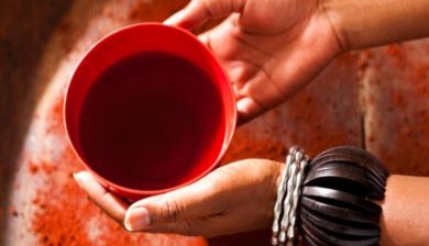 rooibos artikel