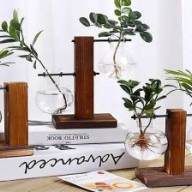 Planten in water en glas