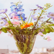 Zo bescherm je bloemen tegen de warmte